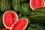 Watermelons / photo from http://en.wikipedia.org